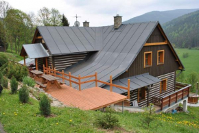 Apartment in Pec pod Snezkou 2098